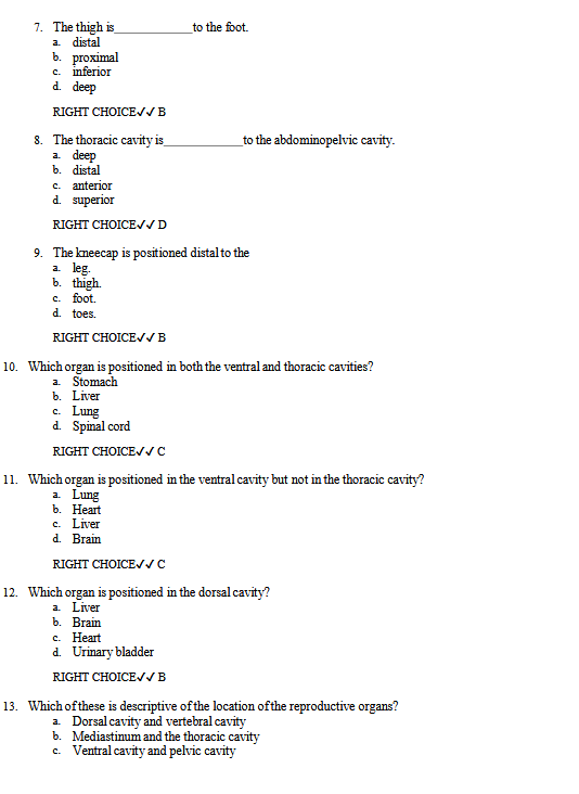Test Bank for the Human Body in Health and Illness 8th Edition by Herlihy - Image 2