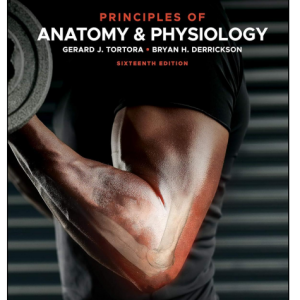 Test Bank for Principles of Anatomy and Physiology 16th Edition by Gerard J. Tortora and Bryan H. Derrickson